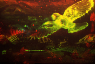 Cherry Optical Hologram Bird over Village in Pan transmission hologram by Nancy Gorglione & Greg Cherry